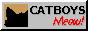 A button of a shadow of a catboy. It's ears occasionally wiggle. It says catboys Meow!