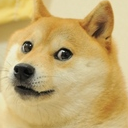 The logo for DoggeyWoggey.